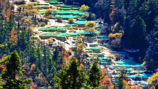 四川松潘县 黄龙景区 陈旻