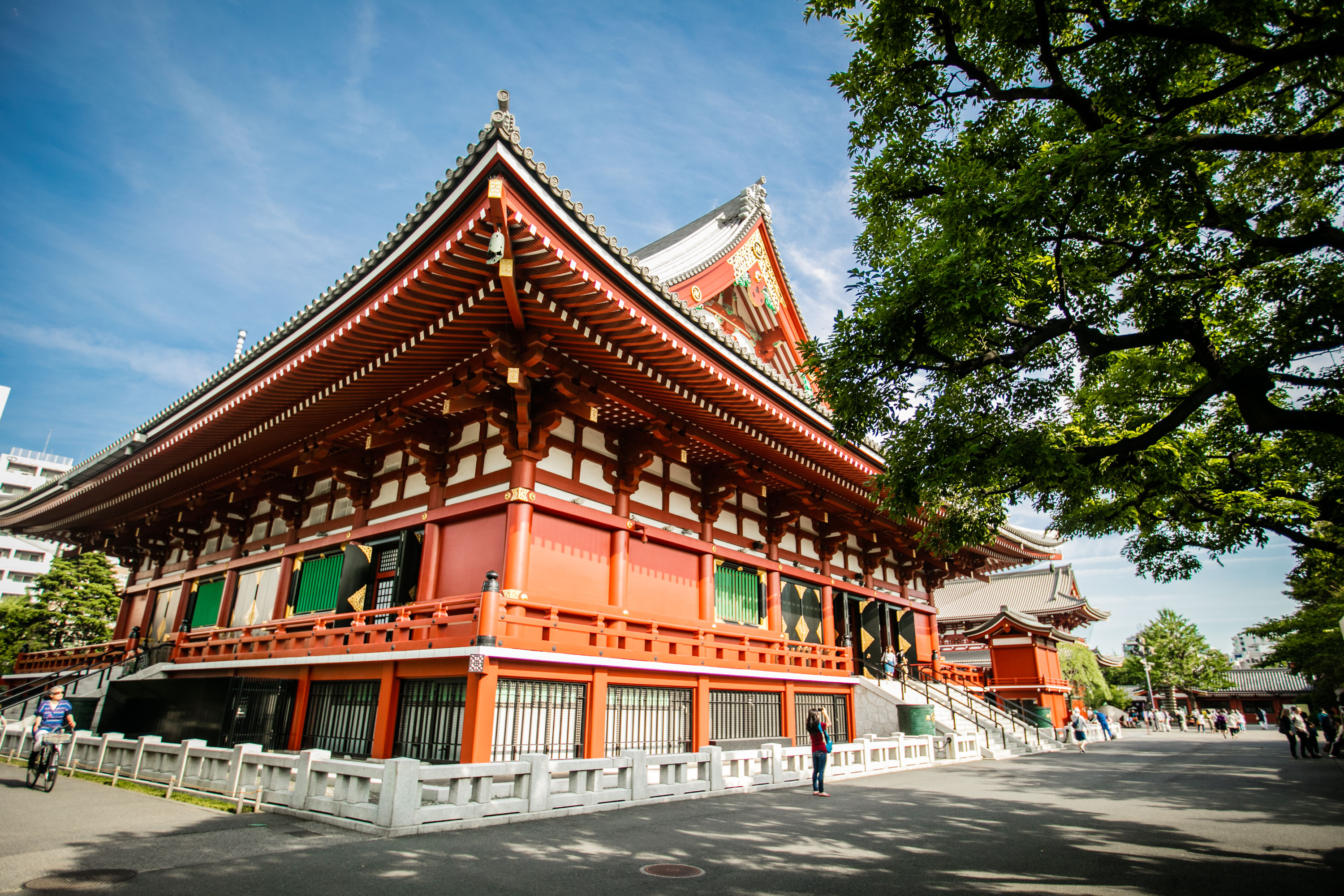 新幹線體驗 富士遊船 美術館