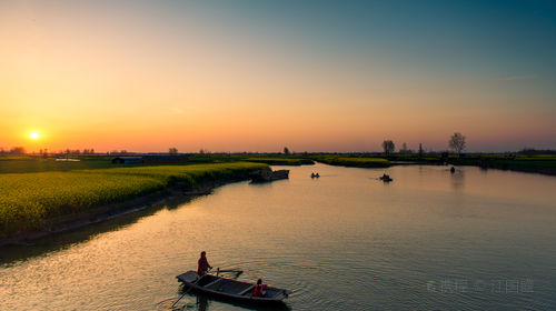兴化千垛菜花风景区-手机智能定位语音讲解【