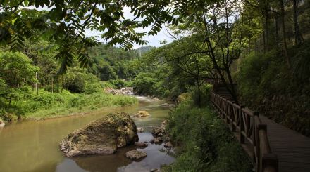 禪驛·峨眉半山院子地處峨眉山七里坪國際度假區,海拔1300米左右,距