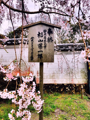 再赴一场粉红色的约会--京都、奈良、大阪(网罗