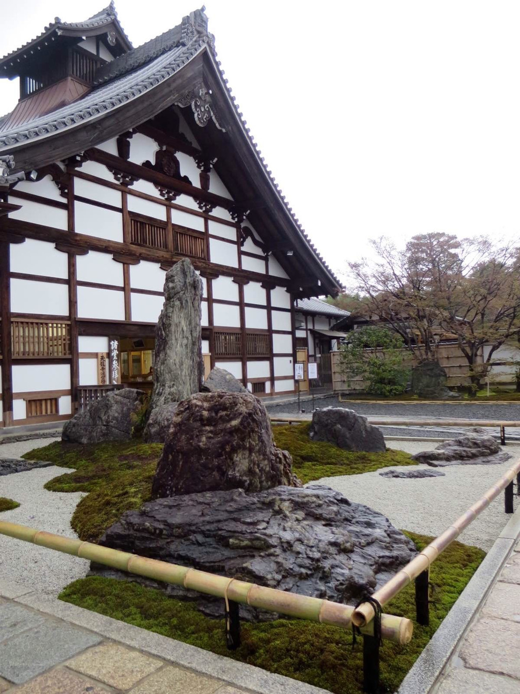 京都嵯峨野竹林                                 京都天龙寺