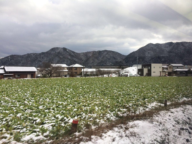 日本冬日雪国之旅