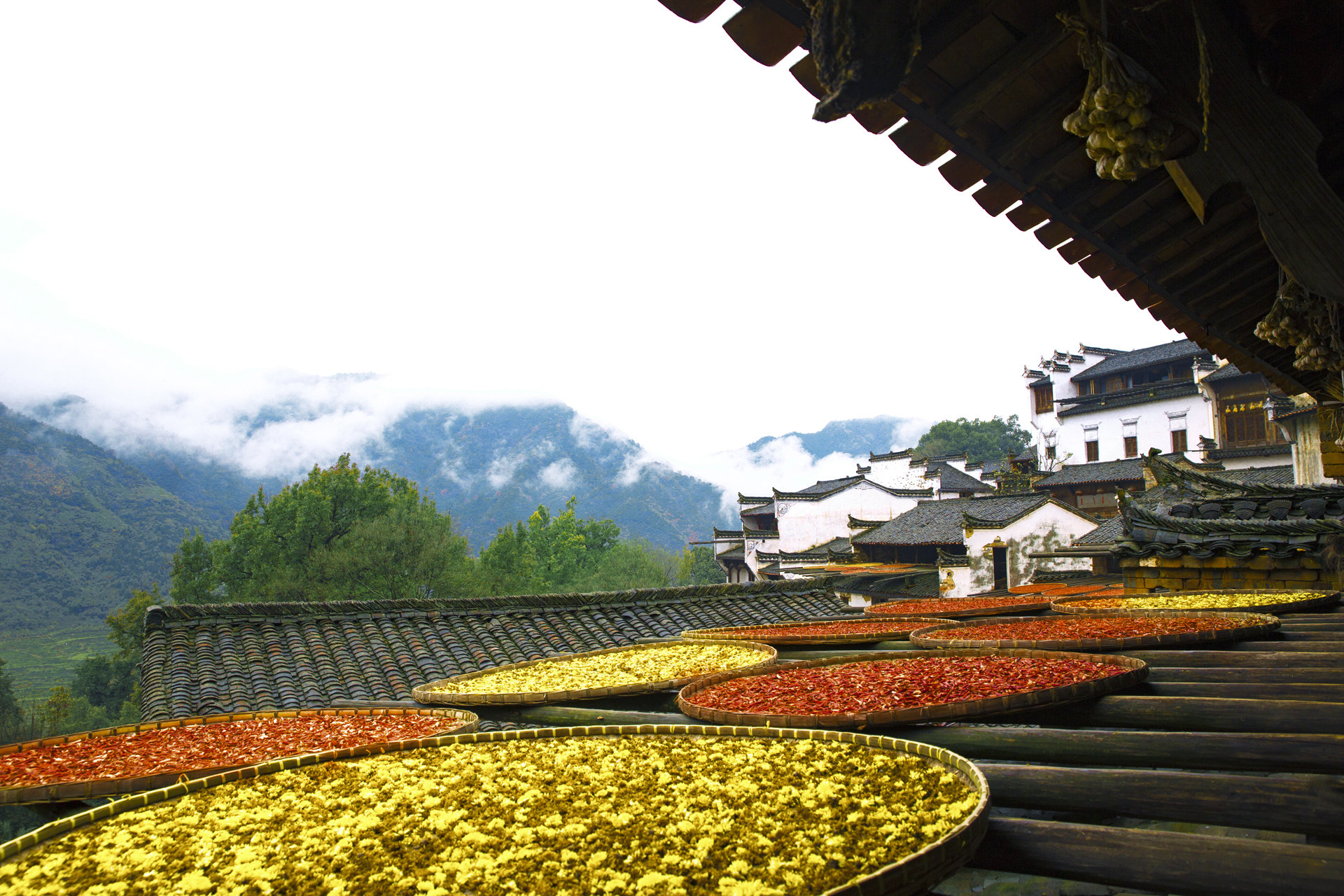 江西南昌 庐山风景区 婺源 景德镇5日跟团游(5钻·5 钻江景房赠演出