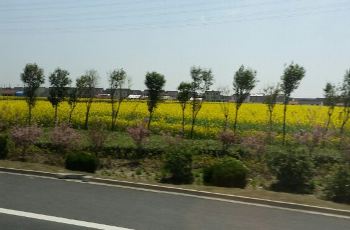 【携程攻略】南通兴东机场大巴时刻表\/运营时