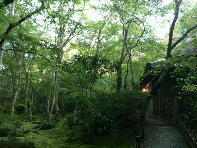 一步千年,从京都到东京