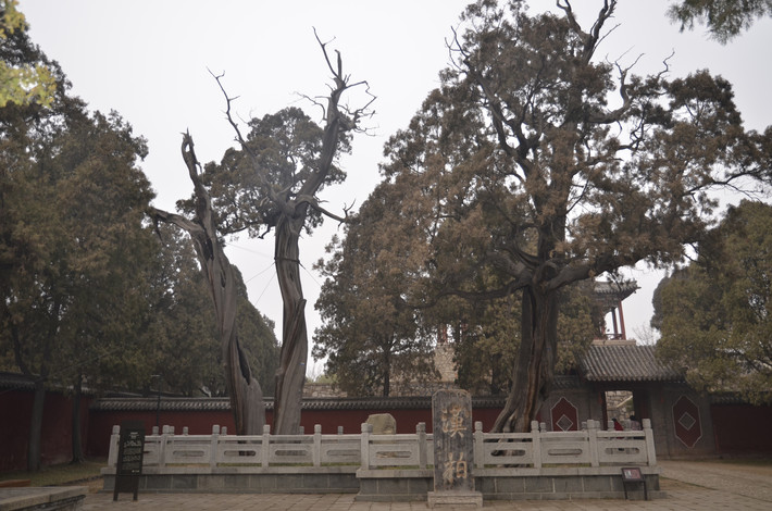 丁丁历险记之一-天下第一山、天下第一泉